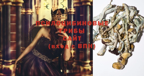 мефедрон Богородицк